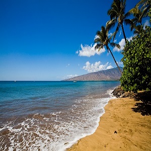 Hawaii-beach2