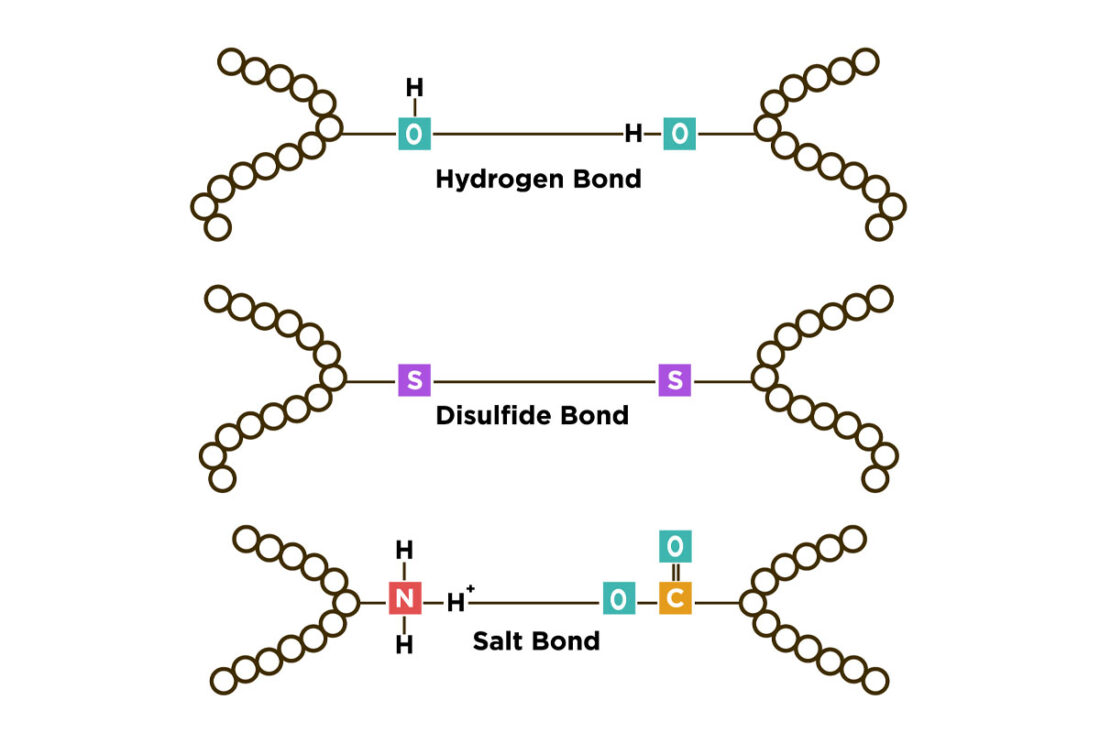 Illustration of the 3 primary types of bonds in your hair: hydrogen, disulfide, and salt bonds.