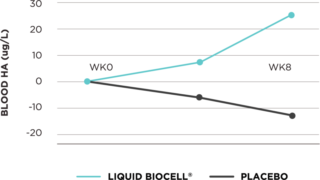 A line chart illustrating the difference in blood HA levels between Liquid BioCell and a placebo over a span of 8 weeks.