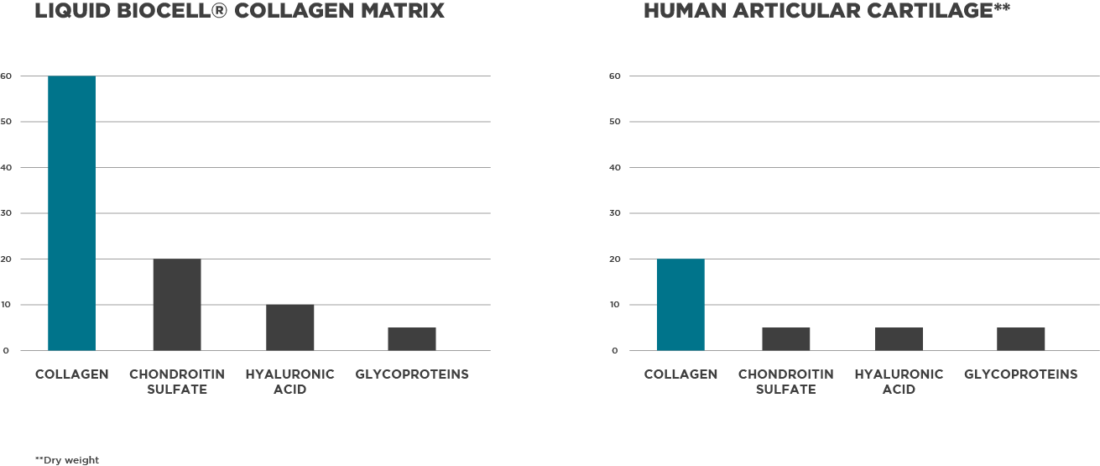 Bar charts that showcase how Liquid BioCell Collagen Matrix mirrors the composition of human articular cartilage.