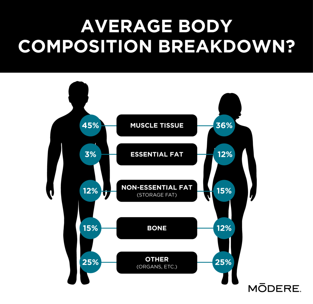 A chart outlining average body composition for men and women. Per the chart:
Men generally have 45% muscle tissue, while women sit at 36%. Men generally have 3% essential fat and 12% non-essential fat, while women sit at 12% and 15% respectively. Men generally have 15% bone density, while women have 12%. Both genders have 25% "other" which includes organs, etc.