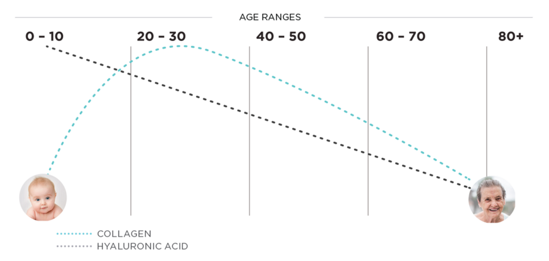 Graph illustrating how collagen and hyaluronic acid levels decrease with age.